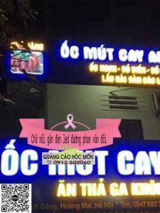 Chữ nổi gắn đèn led đường phan văn đối